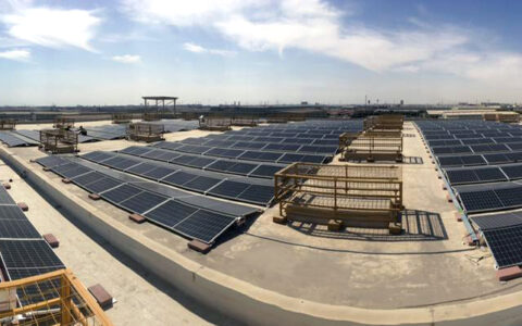 Saudi Snack Foods Co. Ltd.